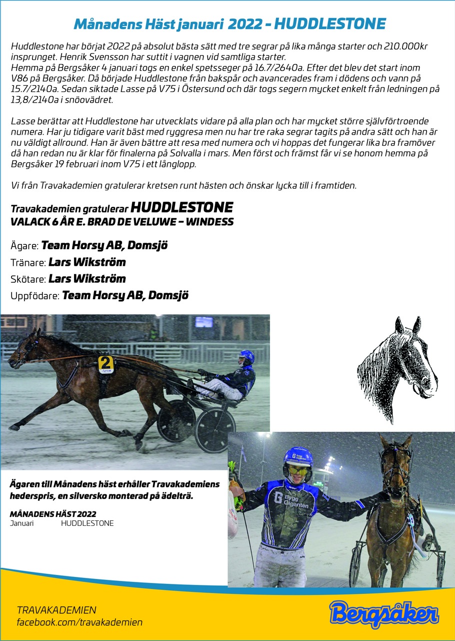 Månadens Häst janauri 2022 135x190.JPG